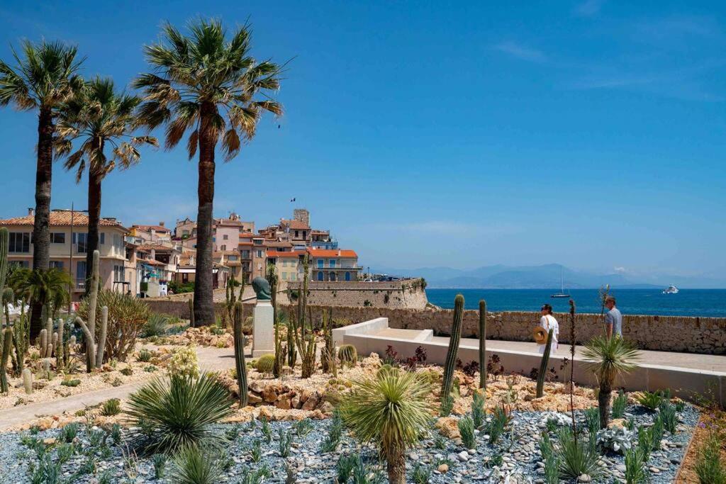 Cosy 3 Pieces Vieil Antibes Proche Port Vauban Apartment Exterior foto